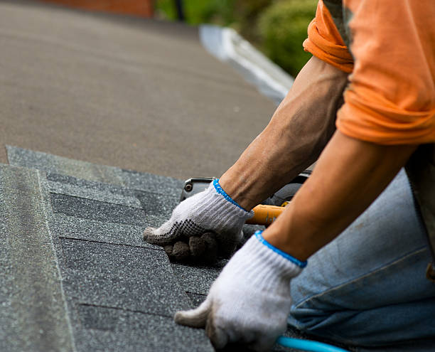 Best Shingle Roofing Installation  in Mansfield Center, CT
